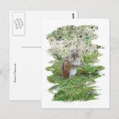 東チムンク ポストカード (正面/裏面)