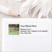 東チムンク ラベル (インサイチュ)