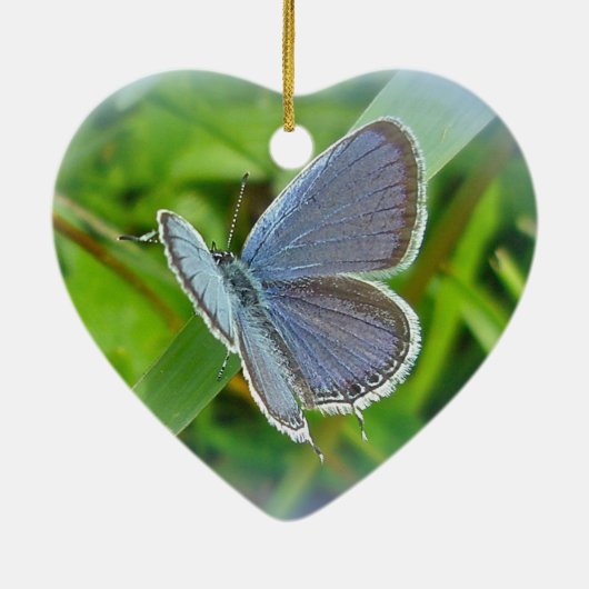 東テイルブルーバタフライクリスマスの飾り セラミックオーナメント (裏面)