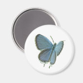 東テイルブルーバタフライ マグネット (正面/裏面)