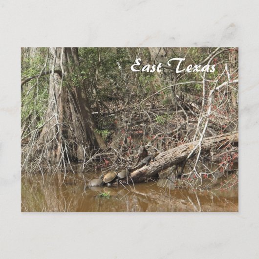 東テキサス州はがき ポストカード (正面)