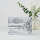 東テキサス州冬， 2009 ポストカード (スタンド正面)