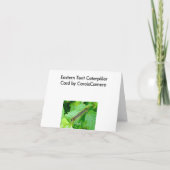 東テントキャタピラーノートカード シーズンカード (裏面)