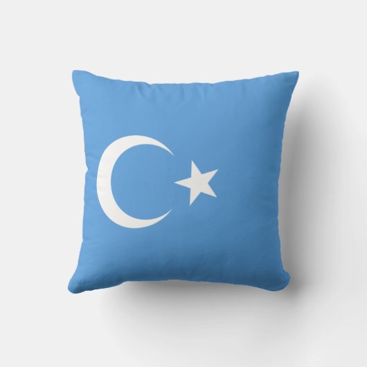 東トルキスタンのウイグル国旗(ウイグルスタン) クッション (裏面)