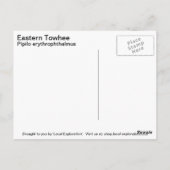 東トーエー ポストカード (裏面)