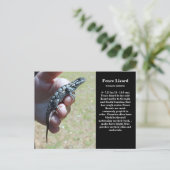 東フェンスリザードSc野生生物 ポストカード (スタンド正面)