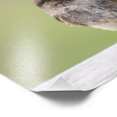 東フォエベ採泥巣写真プリント フォトプリント            (角)