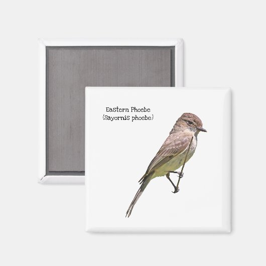 東フォエベ マグネット (正面/裏面)