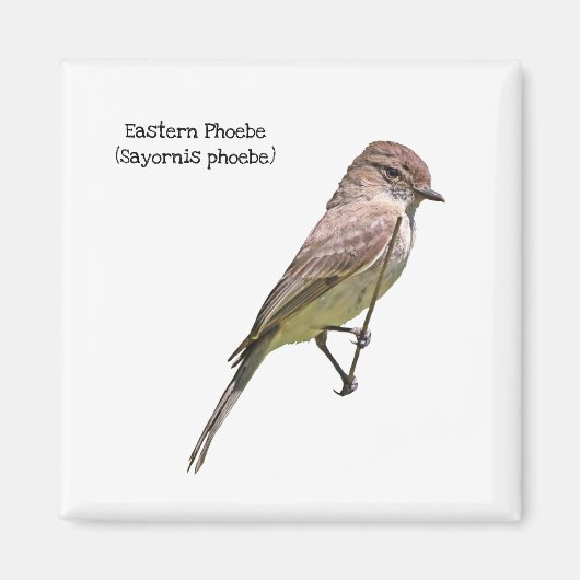 東フォエベ マグネット (正面)