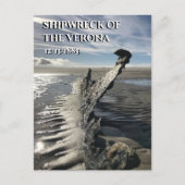 東フリシア島ヴェローナ・スピーケロッグ島の難破船 ポストカード (正面)