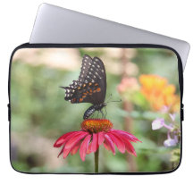 東ブラックアゲハチョウオンコーンフラワー