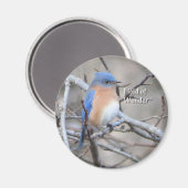 東ブルーバードマグネット マグネット (正面/裏面)