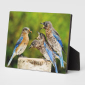 東ブルーバード フォトプラーク (側面)