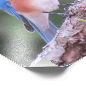 東ブルーバード フォトプリント            (角)