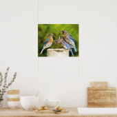 東ブルーバード ポスター (キッチン)