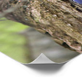 東ブルーバード ポスター (角)