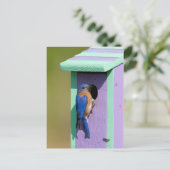 東ブルーバード ポストカード (スタンド正面)