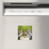 東ブルーバード マグネット (インサイチュ (食洗機))