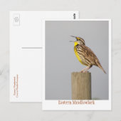 東メダウラルク ポストカード (正面/裏面)