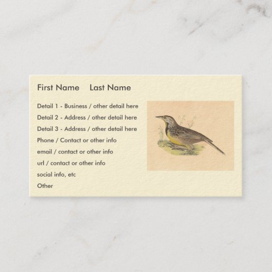 東メドウラーク（チョウセンアサガオ） NY鳥 名刺 (正面)