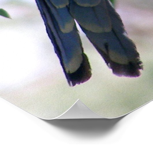 東ロセラ ポスター (角)