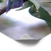 東ロセラ ポスター (角)