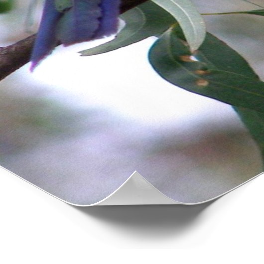 東ロセラ ポスター (角)