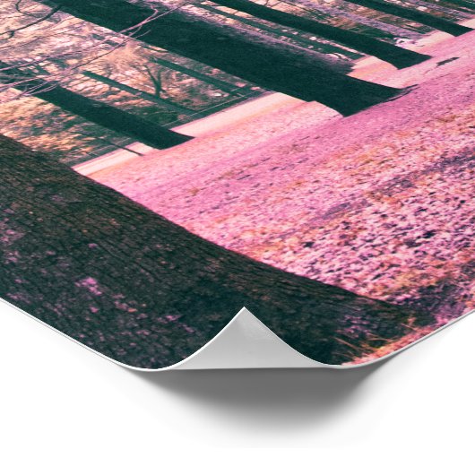 東京の代々木公園の木々に色が付いた。 ポスター (角)