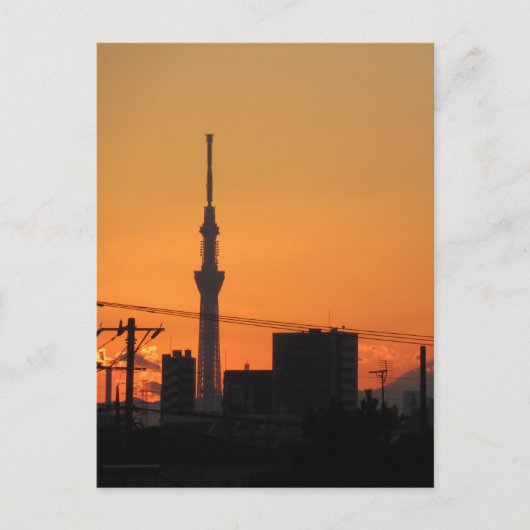 東京スカイツリーの夕焼け ポストカード (正面)
