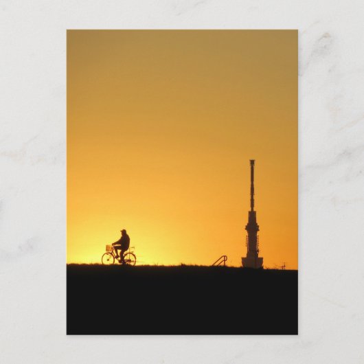 東京スカイツリーの眺め：江戸川リバーバンクはがき ポストカード (正面)