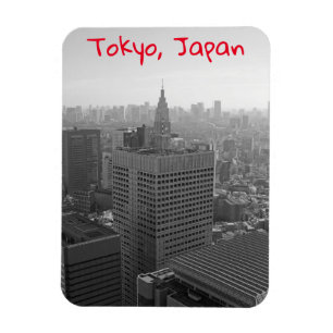 東京スカイライン マグネット