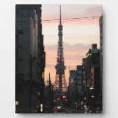 東京タワーサンライズ東京タワー日の出 フォトプラーク (正面)