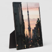 東京タワーサンライズ東京タワー日の出 フォトプラーク (側面)