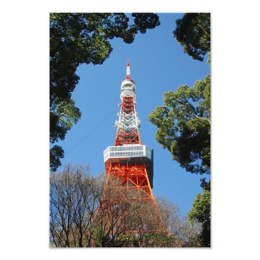 東京タワー フォトプリント            (正面)