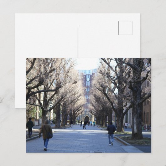 東京大学はがき ポストカード (正面/裏面)