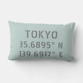 東京緯度経度装飾用クッション ランバークッション (裏面)