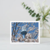 東京街灯：伝園調布 ポストカード (スタンド正面)