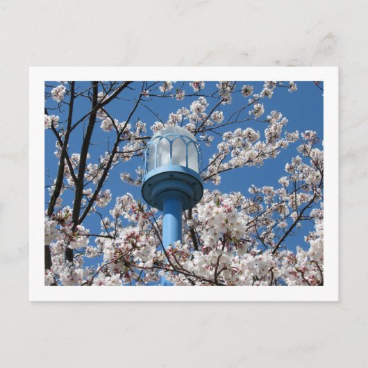 東京街灯：伝園調布 ポストカード (正面)