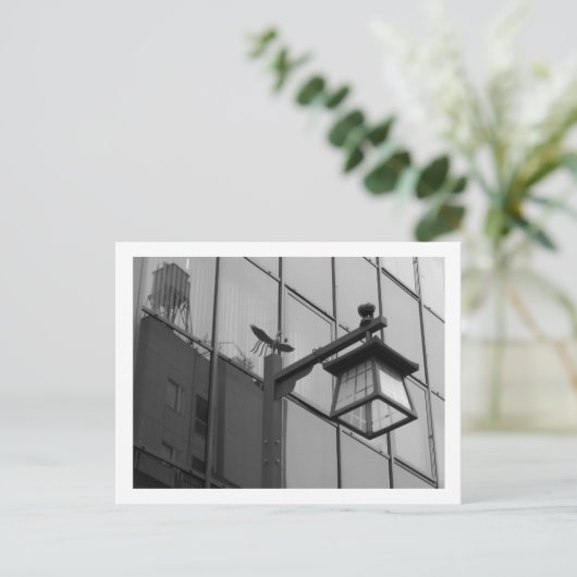 東京街灯：浅草 ポストカード (スタンド正面)