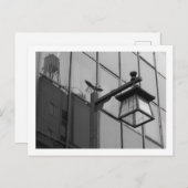 東京街灯:浅草 ポストカード (正面/裏面)