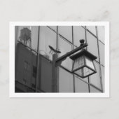 東京街灯：浅草 ポストカード (正面)