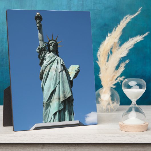 東京都大台場市の自由の女神 フォトプラーク (側面)