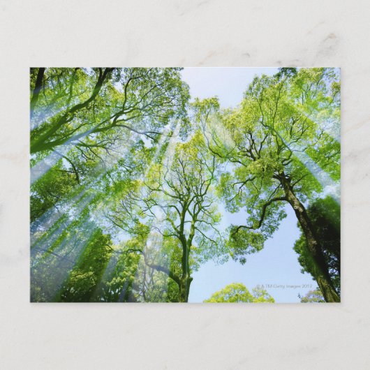 東京都渋谷区 ポストカード (正面)