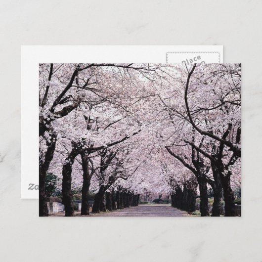 東京 ポストカード (正面/裏面)