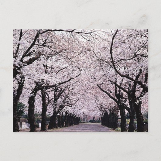 東京 ポストカード (正面)