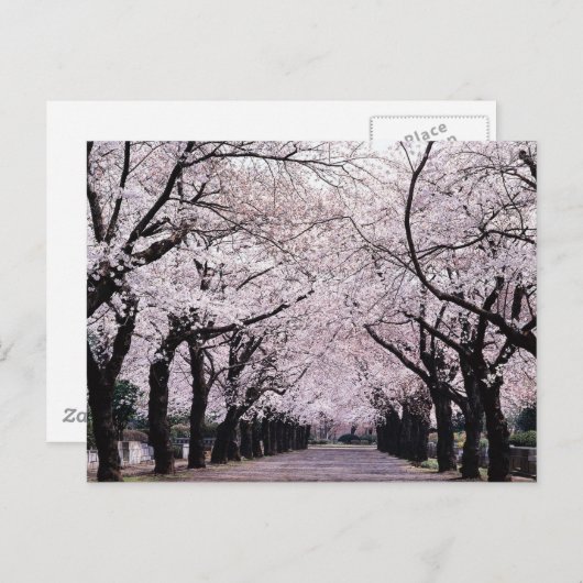 東京 ポストカード (正面/裏面)