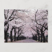 東京 ポストカード (正面)