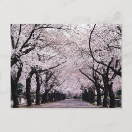 東京 ポストカード