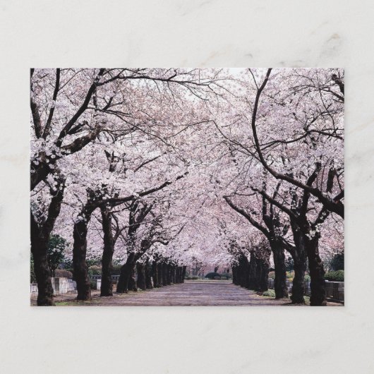 東京 ポストカード (正面)