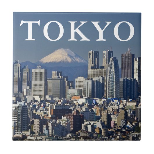 東京 日本 新宿区のスカイライン 富士山 タイル (正面)